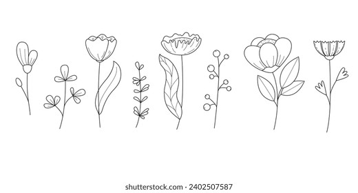 Collection of wild flowers and leaves. Linear vector illustration isolate don white background