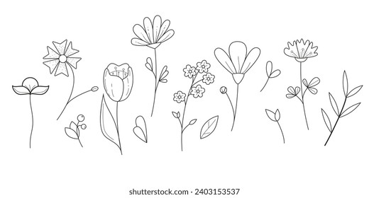 Collection of wild flowers and leaves. Linear vector illustration isolate don white background