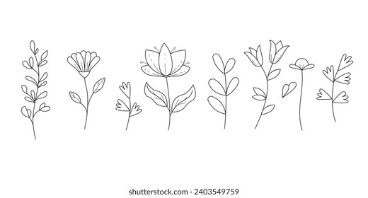 Collection of wild flowers and leaves. Linear vector illustration isolate don white background