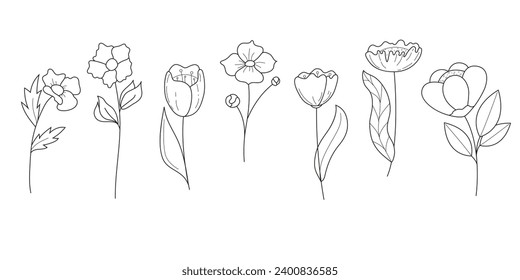 Collection of wild flowers. Linear vector illustration isolate don white background