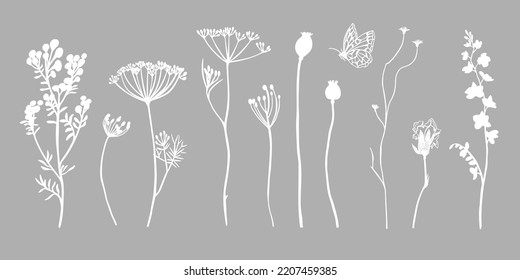 Collection of wild flowers and spikelets vector hand drawing in silhouette print style for interior, patterns, wedding decor.