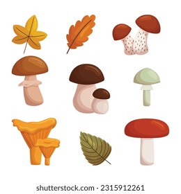 Collection Of Wild Forest Mushrooms of Various Shapes, Sizes, And Colors. Rich Earthy Tones, Intricate Textures, And A Delightful Blend Of Edible And Poisonous Species. Cartoon Vector Illustration