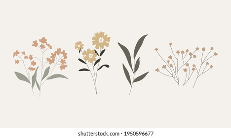 Collection of wild and garden blooming flowers isolated on bright background. Vector bundle of bouquets. Set of decorative floral design elements.