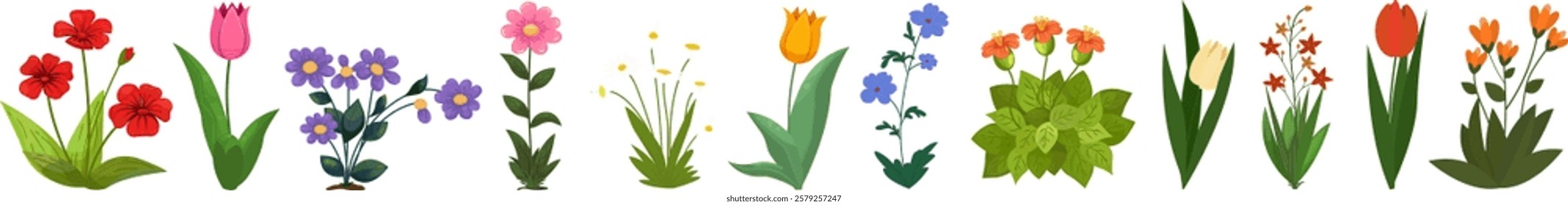 Collection of wild and garden herbs, flowering plants, blooming flowers isolated on transparent background. Poppies, tulips, lilies, chamomile and others. Cartoon flat vector illustration