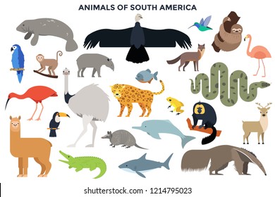 Collection of wild jungle and forest animals, birds, marine mammals, fish of South America. Bundle of cute cartoon characters isolated on white background. Colorful vector illustration in flat style.