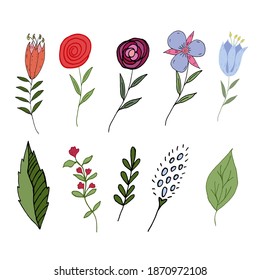 Collection of wild meadow flowers and leaves in doodle style isolated on white background. Pink, blue, red flowers with green leaves. Vector illustration. Hand drawing.