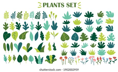 Collection of wild plants, leaves and flowers isolated on white background. Set of decorative floral design elements. Flat cartoon vector illustration