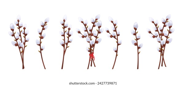 Collection of willow branches. Spring willow branch, Easter bouquet. Vector illustration isolated on white background.