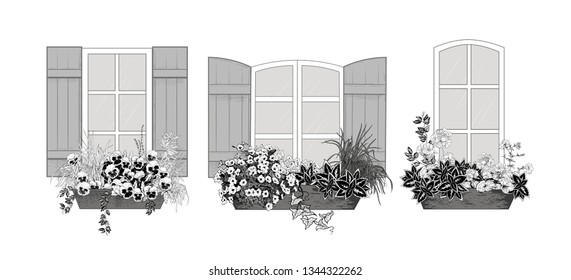Collection of window flower boxes. Petunia, coleus, geranium, pansies and herbs in window boxes. Vector monochrome image. Hand drawn vintage illustration.