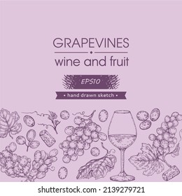 Collection of wine glass and bunches of grapes. Detailed hand-drawn sketch, vector illustration.