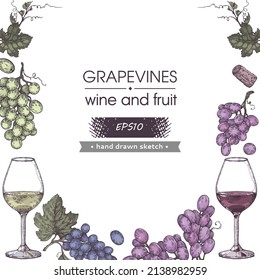 Collection of wine glasses, and bunches of grapes. Detailed hand-drawn sketch, vector illustration.