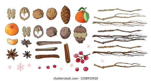 Collection of winter and autumn decorative nature doodles. Chestnut, cone, rowan, mandarin, tree branches. Vector set. Can be used for prints, posters, cards, logo, decorations. Hand drawn elements.