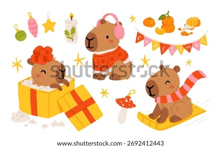 Collection of winter cute capybaras with New Years wreath, gift, bathing in hot water and in Christmas bow and hat. Vector illustration. Isolated kawaii animal character
