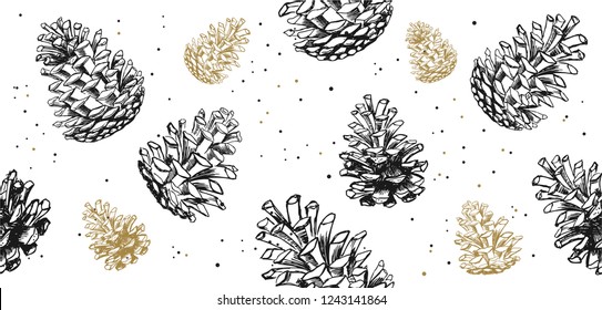 Collection of winter pine cones and acorns. Hand drawn vector illustrations. Christmas set.
