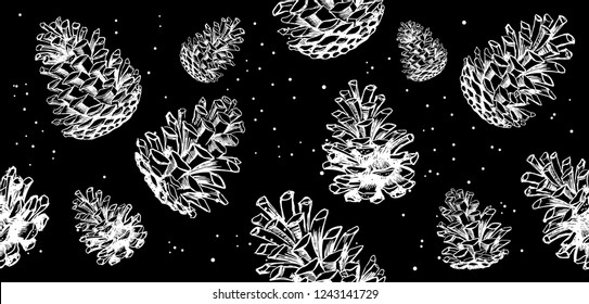 Collection of winter pinecones and acorns. Hand drawn vector illustrations. Christmas set.