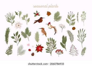 Collection of winter plants, flower, branch. Perfect for Merry Christmas, Happy New Year, holidays, invitation and greeting card. Editable vector illustration.