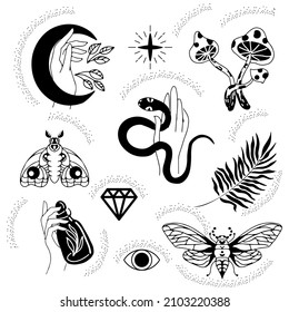 Collection of witches and magic in boho style with magical ritual symbols