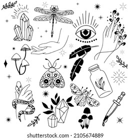 A collection of witches and magic in boho style with magical symbols of a butterfly, a hand, a crystal ball, an all-seeing eye, a snake and a potion.