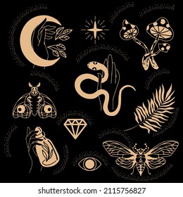 Collection of witches and magic in boho style with magical ritual symbols, gold on a black background