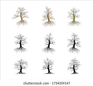 Collection of wither tree and roots vector illustration, molt tree, drought tree vector