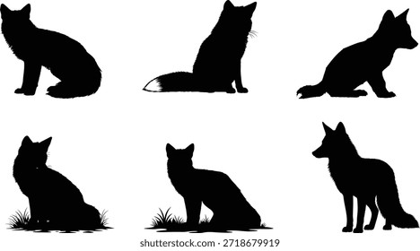 Collection of wolf and dog illustrations in various poses