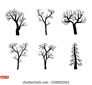 Collection Wood Stems Branches Twigs On Stock Vector (Royalty Free ...