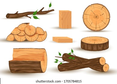 Collection of wooden tree branches isolated on white background.