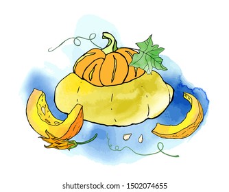 Collection of yellow orange autumn pumpkins. Fall harvest. Vector stock set. Cute cartoons with watercolor texture. Halloween, thanksgiving. Food background. Hand drawn design elements. 