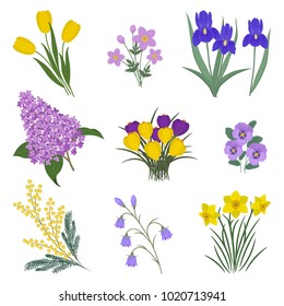 Collection of yellow and purple flowers on a white background. There are mimosa, tulips, bells, pansies, irises, lilacs, anemone, crocuses and daffodils in the picture. Vector illustration.