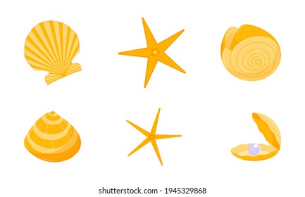 A collection of yellow shells and starfish. Design elements on the theme of summer, tropics, vacation. Color vector illustrations in a flat cartoon style. Isolated on white
