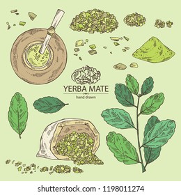 Collection of yerba mate: drink mate, bomber, calabash, and mate branch and leaves. Vector hand drawn illustration.