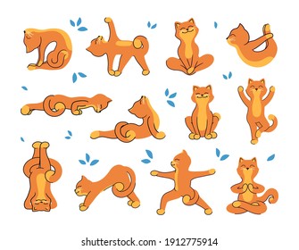 Colección de gatos de yoga para un estilo de vida saludable. Los personajes de caricatura son doce posiciones diferentes. Conjunto de ilustraciones vectoriales para sus diseños