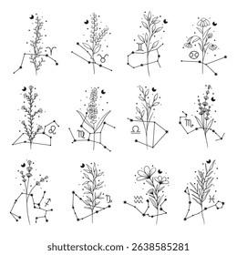Collection of zodiac signs with flowers and constellations, celestial vector art