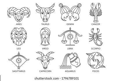 Collection of zodiac signs on white background. Line art icons.
