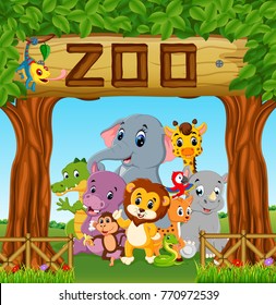collection of zoo animals 
