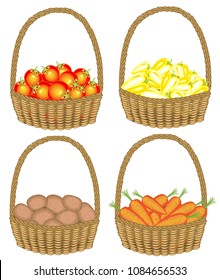 Collection.Collected a rich harvest. The basket is full of ripe juicy vegetables. Fresh potatoes, carrots, peppers, tomatoes, a source of vitamins and pleasure. Set of vector illustrations.