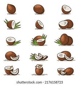 Collections of Brown Coconut vector icon illustration isolated on white background