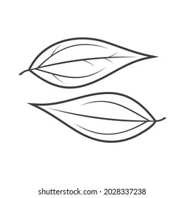 a collections of cinnamon leaf icon, vector art.