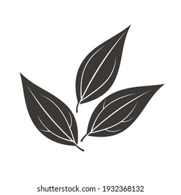 a collections of cinnamon leaf illustration.