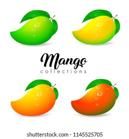 Collections color of Mango and leaf isolated on white backgrond. Vector illustration.