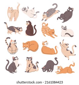 A Collections of Cute Cat with Various Poses Gesture, Streching, Sleeping, Sitting. Handdrawn Flat Style, World Cartoon cat or kitten characters design. 