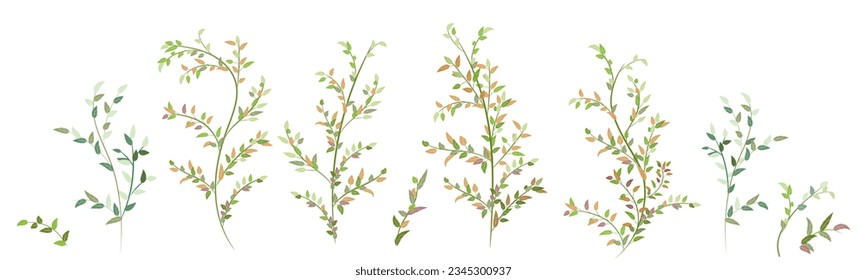 Collections of decorative green leaves, twigs and branches similar to tropical ficus plants. Attractive bright bushes, curly and fresh. Realistic botanical illustration on white background, vector