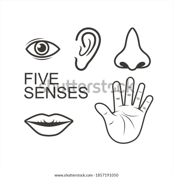 Collections Five Senses Icon Vector Art Stock Vector (Royalty Free ...