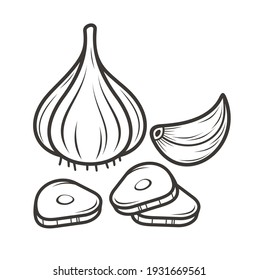 a collections of garlic illustration, vector art.