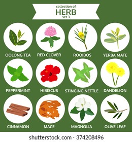 collections of herb set 3, food vector illustration, flat icon sticker