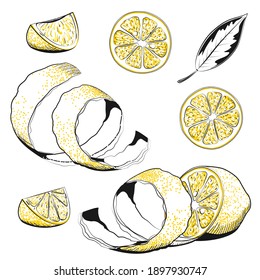 Collections of Lemons - Hand drawn vector illustration. Lemon, slice, leaf, rind, peel