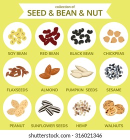 collections of seed & bean & nut, food icon vector illustration