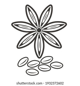 una colección de iconos de anís estrellado, arte vectorial.