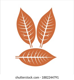 a collections of tobacco icon. vector art.