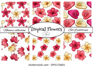 Colecciones de patrones tropicales con flores exóticas al estilo de las caricaturas. Impresión de verano brillante para diseño y fondo.